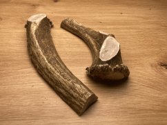 DANČÍ PAROHY - Duo (17 cm)