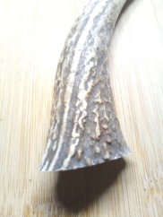 JELENÍ PARŮŽEK PRO PSY ROH 14cm