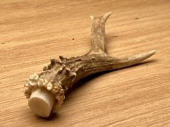 SRNČÍ PAROHY (14 cm)