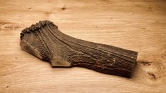 JELENÍ PAROHY - Půlený (21 cm)