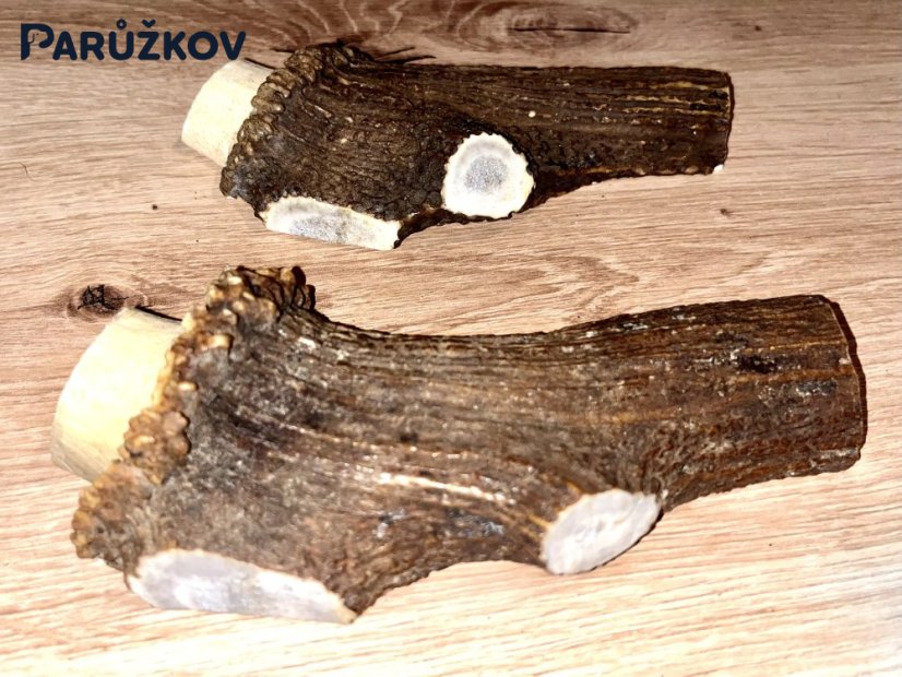 JELENÍ PAROHY - Duo - půlené (15 cm)