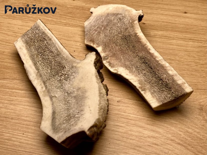 JELENÍ PAROHY - Duo - půlené (13 cm)