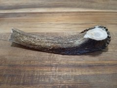 JELENÍ PARŮŽEK PRO PSY - 14 cm - PŮLENÝ