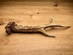 SRNČÍ PAROHY (26 cm)