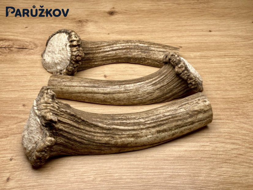 DANČÍ PAROHY - Trio - půlené (15,5 cm)