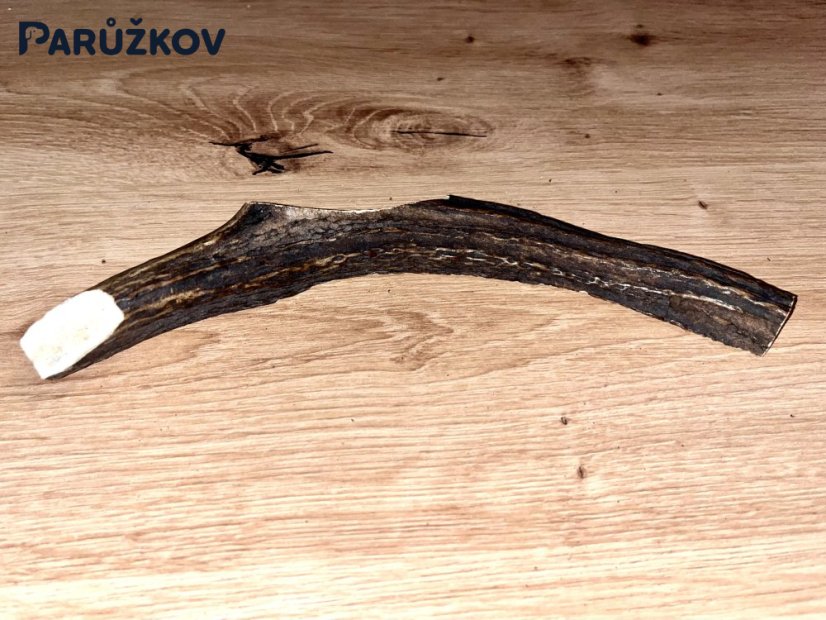JELENÍ PAROHY - Půlený (23 cm)