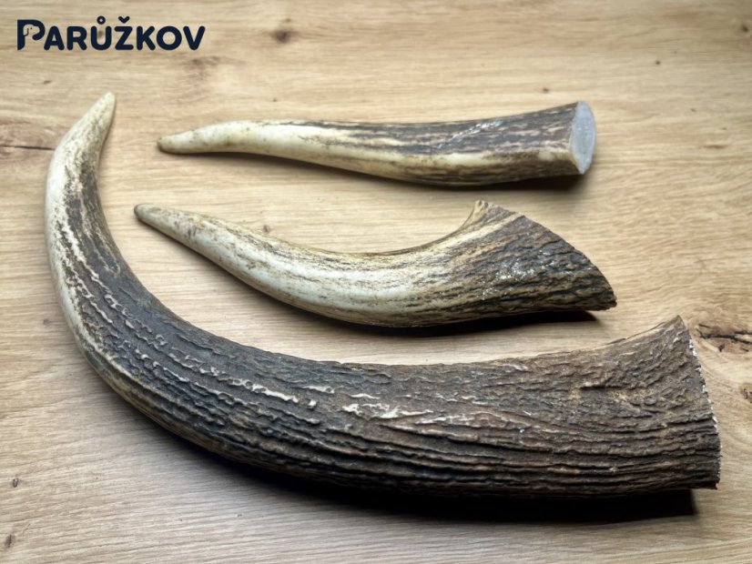 JELENÍ PAROHY - Trio - rohy (26 cm)