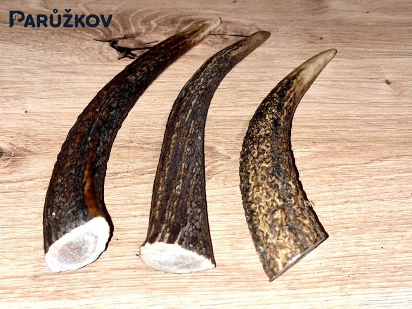 JELENÍ PAROHY - Trio - rohy (16 cm)