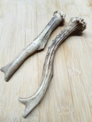 SRNČÍ PARŮŽEK PRO PSY DUO 15,5-17,5cm