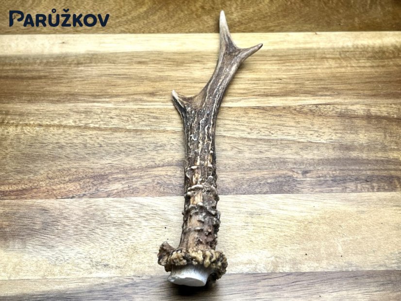 SRNČÍ PAROHY (20 cm)