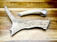 DANČÍ PAROHY - Duo (21 cm)