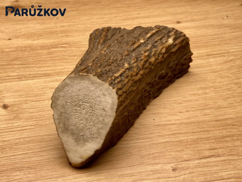 JELENÍ PAROHY - Půlený (10,5 cm)