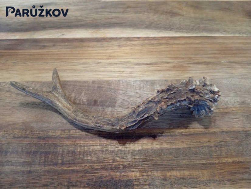 SRNČÍ PARŮŽEK PRO PSY - 17 cm