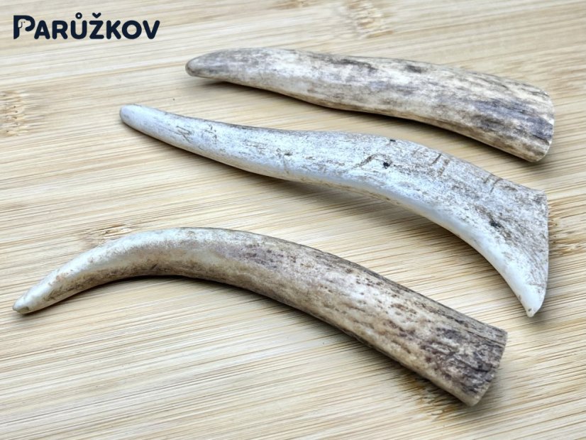 DANČÍ PAROHY - Trio - rohy (13,5 cm)
