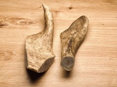 DANČÍ PAROHY - Duo (18 cm)