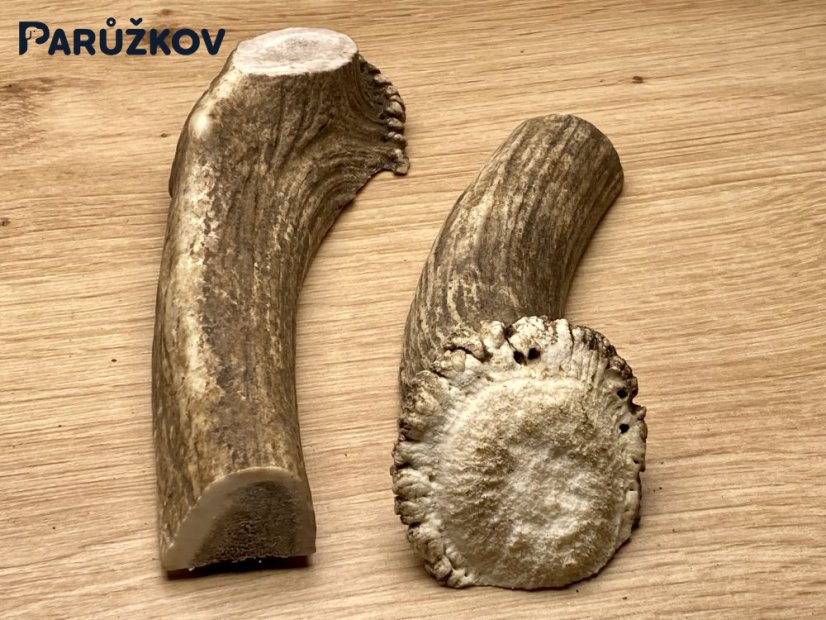 DANČÍ PAROHY - Duo - půlené (16 cm)
