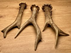 SRNČÍ PAROHY - Trio (18 cm)