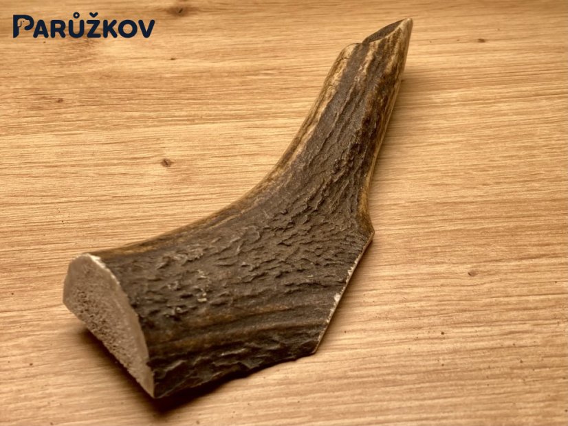 JELENÍ PAROHY - Půlený (17 cm)