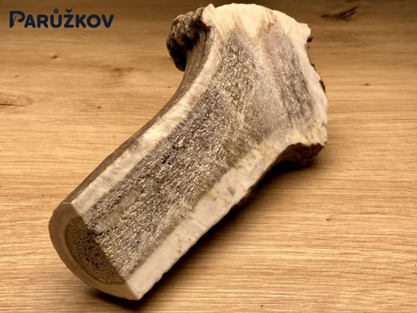 JELENÍ PAROHY - Různé druhy - Velikost: S (40 - 80 g), Typ: Půlený