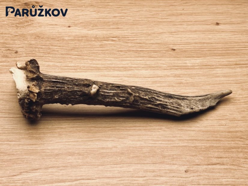 SRNČÍ PAROHY (15 cm)