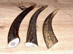 JELENÍ PAROHY - Trio - rohy (16 cm)