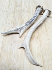 SRNČÍ PARŮŽEK PRO PSY 13-14,5cm