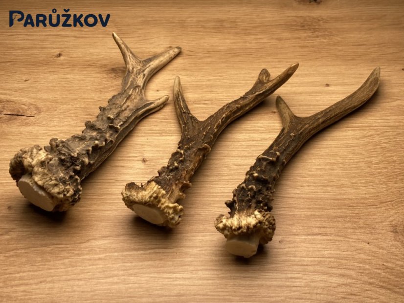 SRNČÍ PAROHY - Trio (19 cm)