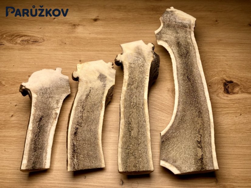 Jelení parůžky (půlené), různé velikosti