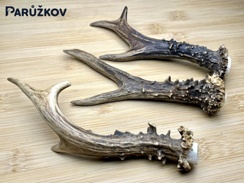 SRNČÍ PAROHY - Trio (16 cm)