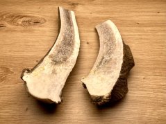 DANČÍ PAROHY - Duo - půlené (17 cm)
