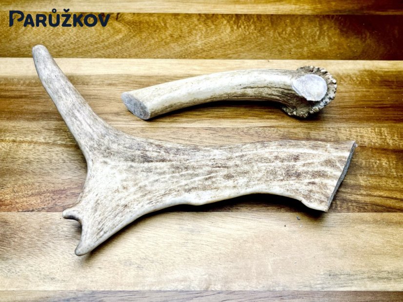 DANČÍ PAROHY - Duo (21 cm)