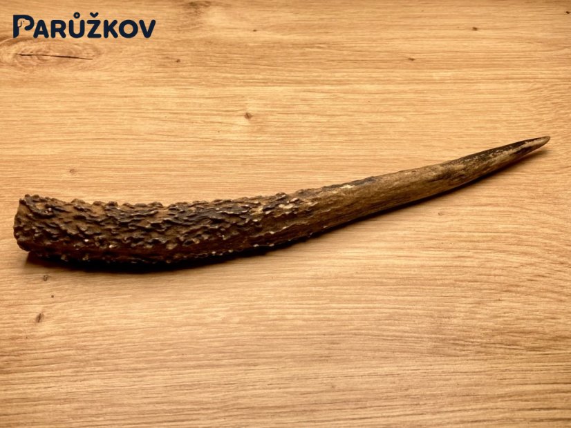 JELENÍ PAROHY - Roh (21 cm)