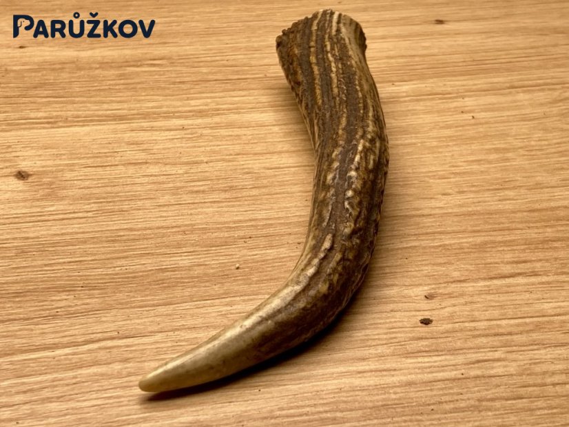 JELENÍ PAROHY - Různé druhy - Velikost: S (40 - 80 g), Typ: Půlený