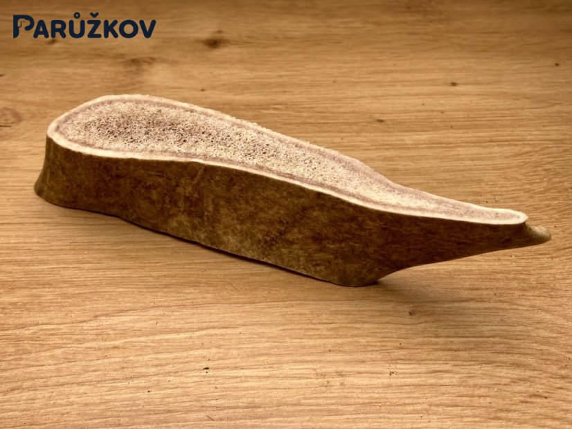DANČÍ PAROHY (18 cm)