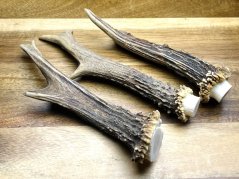 SRNČÍ PAROHY - Trio (15 cm)