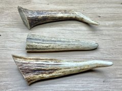 JELENÍ PAROHY - Trio - rohy (12 cm)