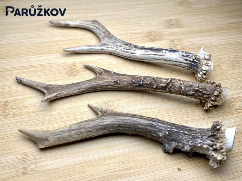 SRNČÍ PAROHY - Trio (21 cm)