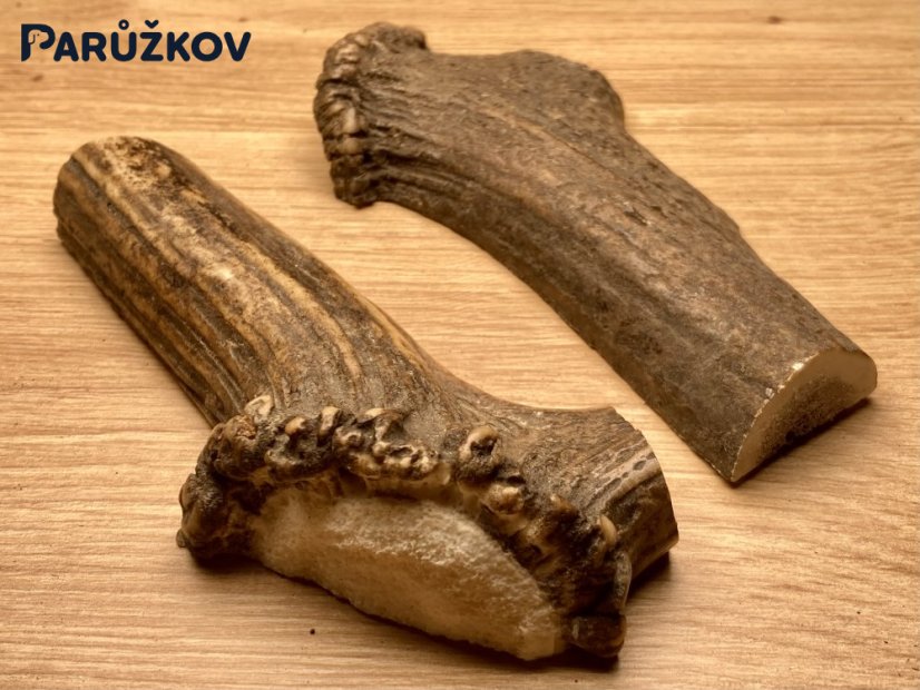 JELENÍ PAROHY - Duo - půlené (13 cm)