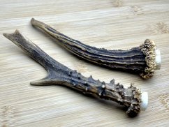 SRNČÍ PAROHY - Duo (15 cm)