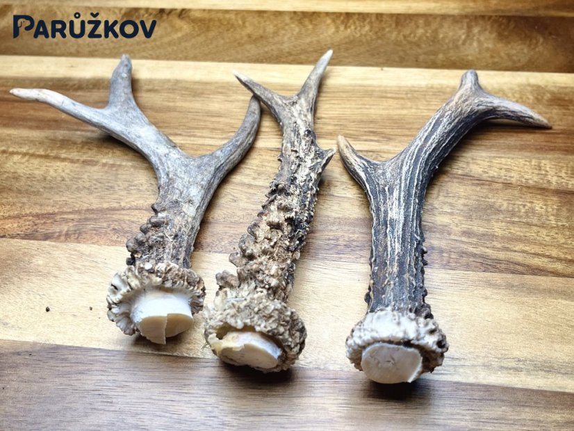 SRNČÍ PAROHY - Trio (17,5 cm)