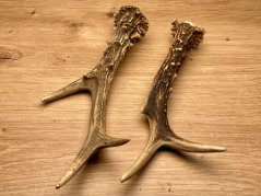 SRNČÍ PAROHY - Duo (19 cm)