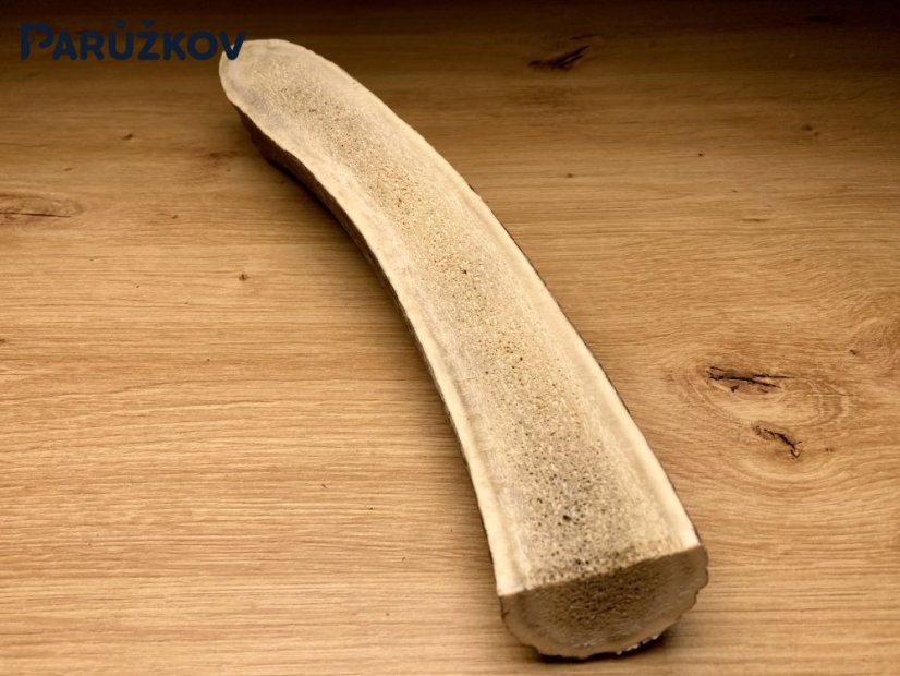 JELENÍ PAROHY - Půlený (27 cm)