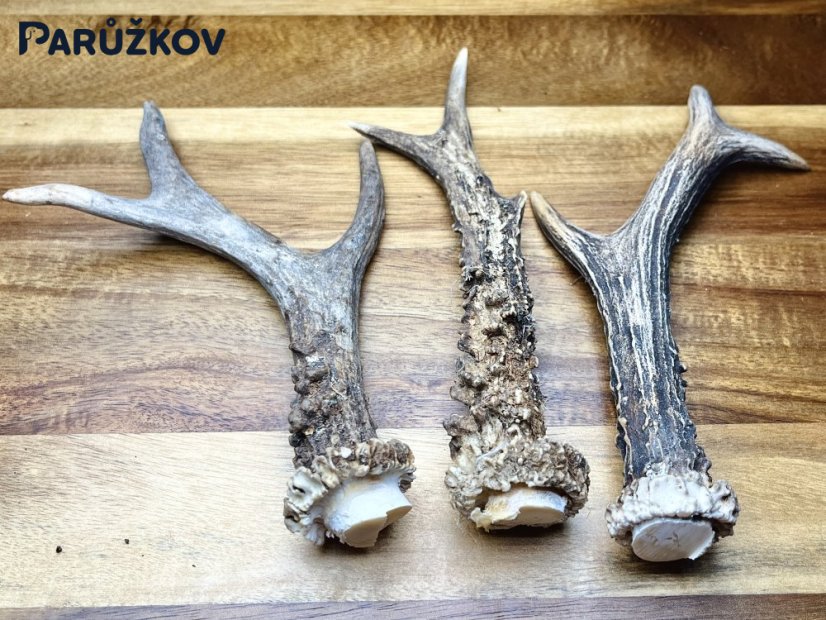 SRNČÍ PAROHY - Trio (17,5 cm)