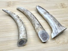 DANČÍ PAROHY - Trio (11 cm)