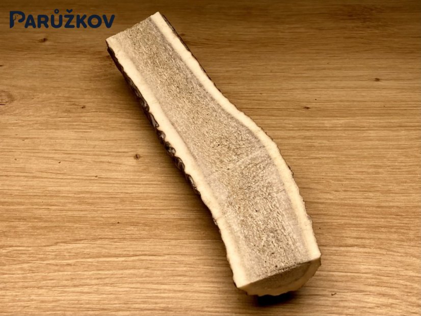 JELENÍ PAROHY - Půlený (17 cm)