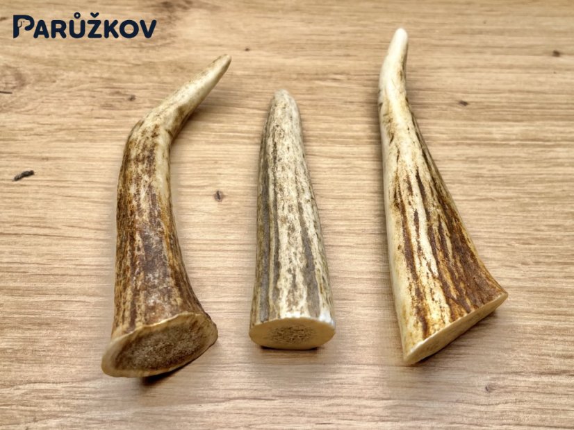 JELENÍ PAROHY - Trio - rohy (12 cm)