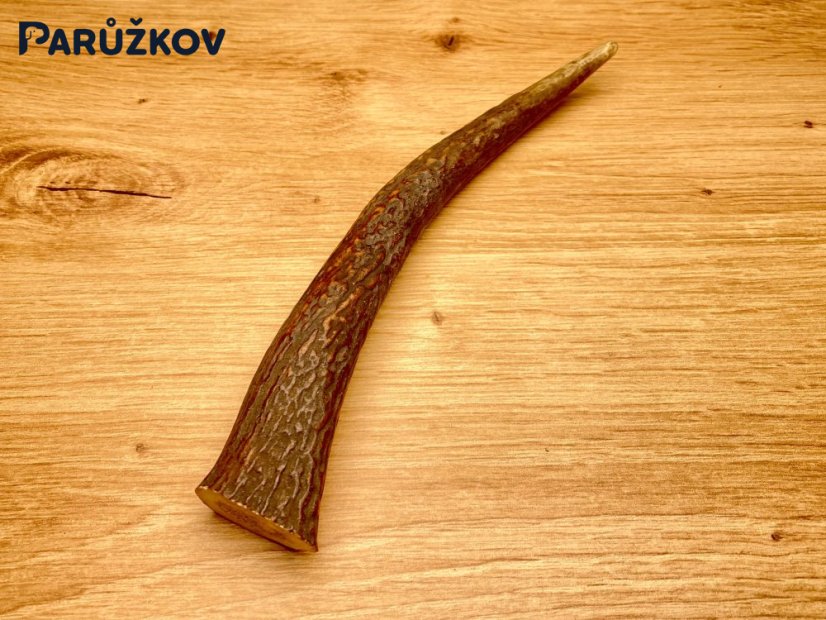 JELENÍ PAROHY - Roh (17 cm)