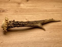 SRNČÍ PAROHY (20 cm)