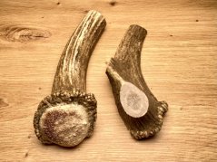 DANČÍ PAROHY - Duo - půlené (17 cm)