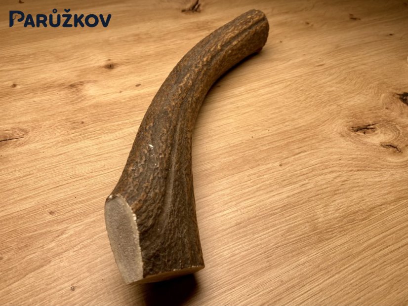 JELENÍ PAROHY (29 cm)